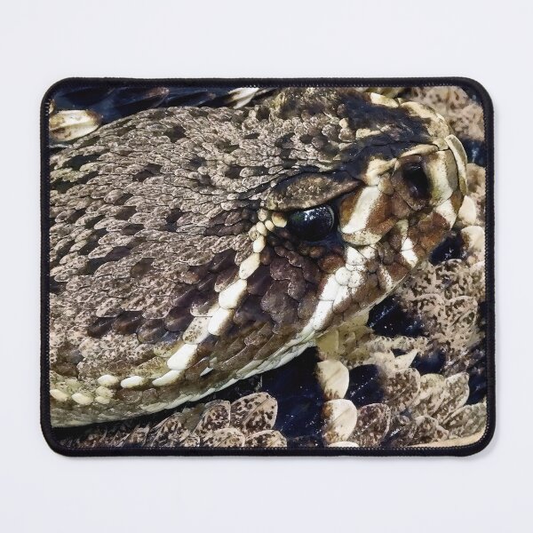 Item preview, Eastern Diamondback Rattlesnake #004 designed and sold by Jeffrey Mask.