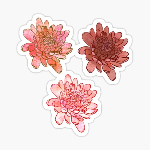 Item preview, Chrysanthemum Flowers in Pink & Orange with Black Background designed and sold by Booneb.