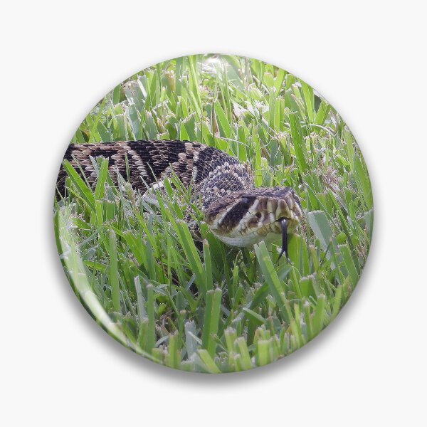 Item preview, Eastern Diamondback Rattlesnake #006 designed and sold by Jeffrey Mask.
