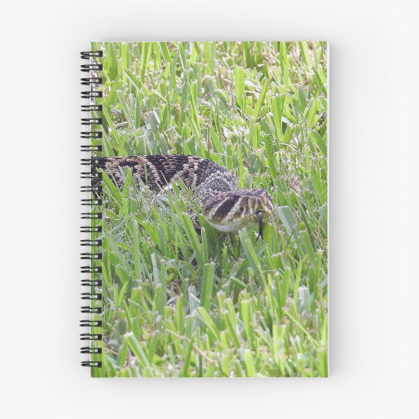 Item preview, Eastern Diamondback Rattlesnake #006 designed and sold by Jeffrey Mask.