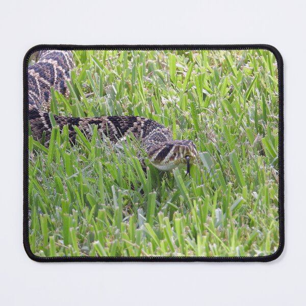 Item preview, Eastern Diamondback Rattlesnake #006 designed and sold by Jeffrey Mask.