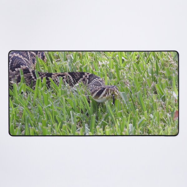 Item preview, Eastern Diamondback Rattlesnake #006 designed and sold by Jeffrey Mask.