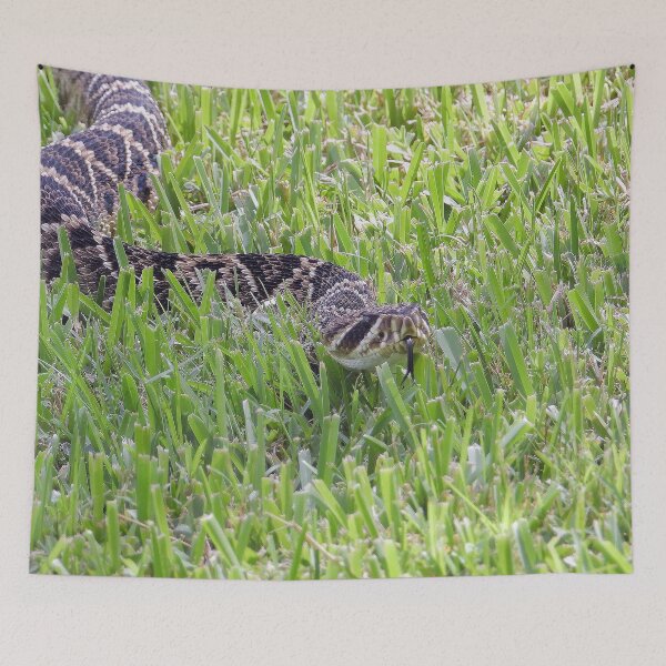 Item preview, Eastern Diamondback Rattlesnake #006 designed and sold by Jeffrey Mask.