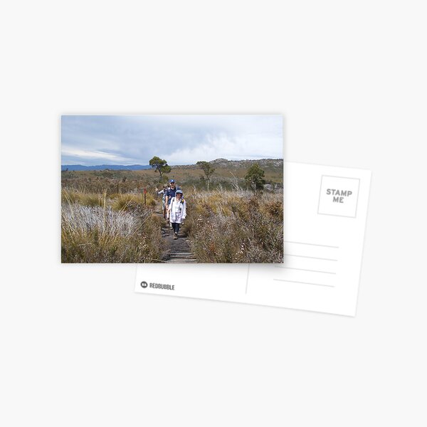 on top of Mt Roland, near Sheffield, Tasmania Postcard