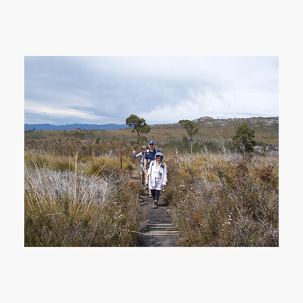 on top of Mt Roland, near Sheffield, Tasmania Photographic Print