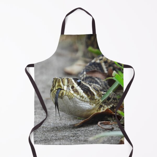 Item preview, Eastern Diamondback Rattlesnake #007 designed and sold by Jeffrey Mask.