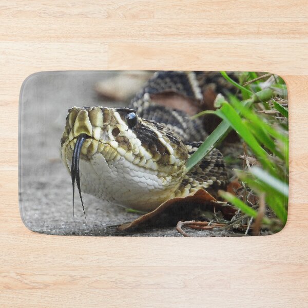 Item preview, Eastern Diamondback Rattlesnake #007 designed and sold by Jeffrey Mask.