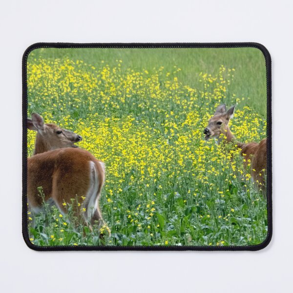 Item preview, Talking deer in canola field designed and sold by JuniperMT.