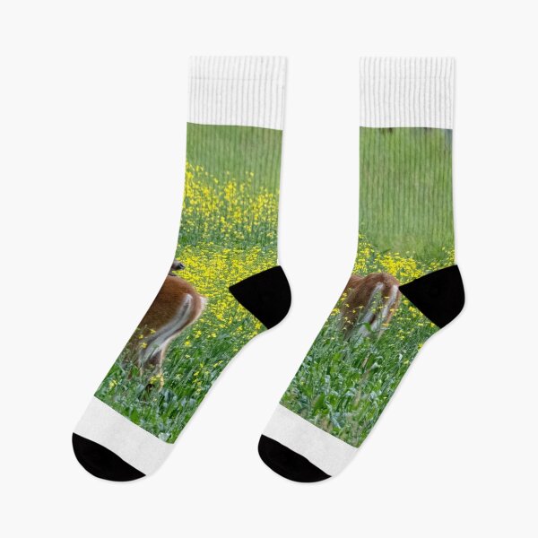 Item preview, Talking deer in canola field designed and sold by JuniperMT.