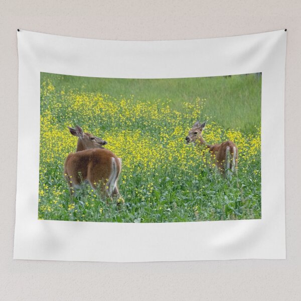 Item preview, Talking deer in canola field designed and sold by JuniperMT.