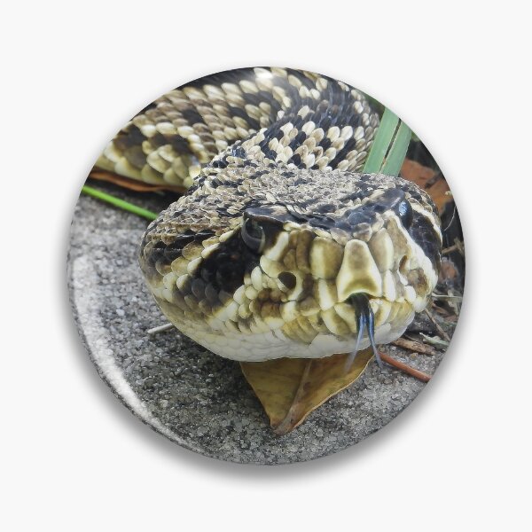 Item preview, Eastern Diamondback Rattlesnake #008 designed and sold by Jeffrey Mask.