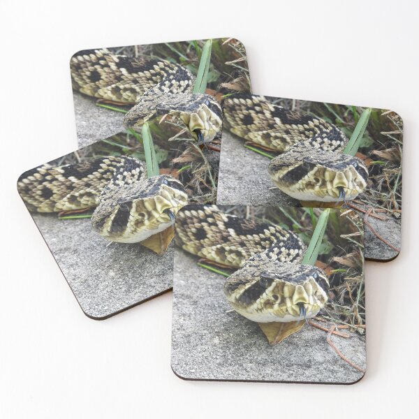 Item preview, Eastern Diamondback Rattlesnake #008 designed and sold by Jeffrey Mask.