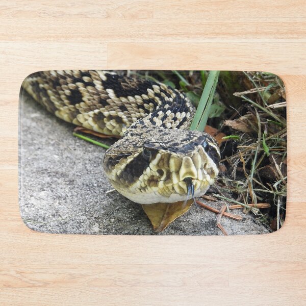 Item preview, Eastern Diamondback Rattlesnake #008 designed and sold by Jeffrey Mask.