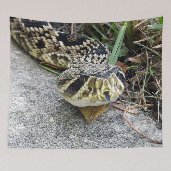 Item preview, Eastern Diamondback Rattlesnake #008 designed and sold by Jeffrey Mask.