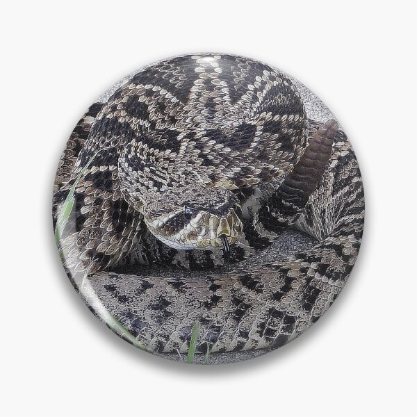 Item preview, Eastern Diamondback Rattlesnake #009 designed and sold by Jeffrey Mask.