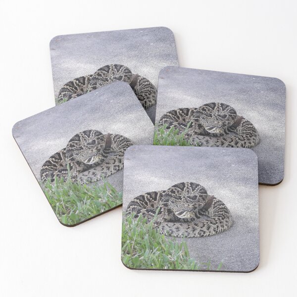 Item preview, Eastern Diamondback Rattlesnake #009 designed and sold by Jeffrey Mask.