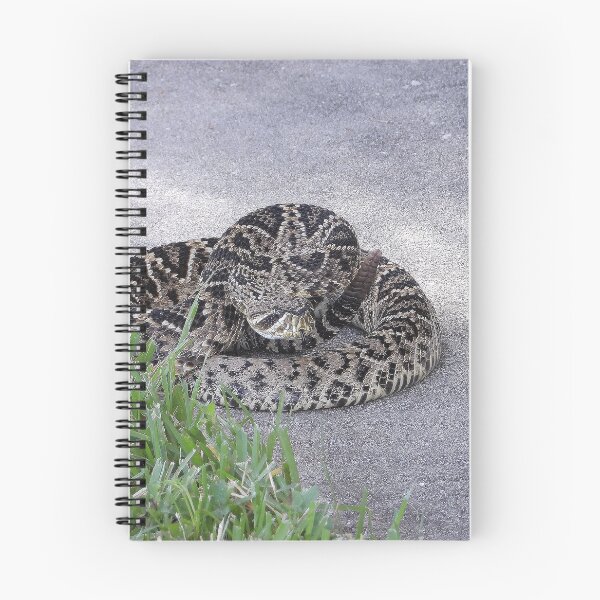 Item preview, Eastern Diamondback Rattlesnake #009 designed and sold by Jeffrey Mask.
