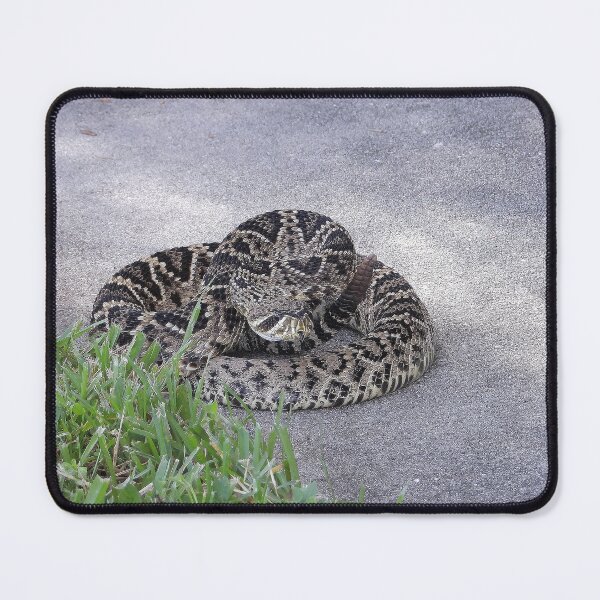Item preview, Eastern Diamondback Rattlesnake #009 designed and sold by Jeffrey Mask.
