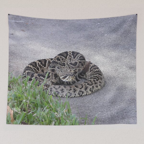 Item preview, Eastern Diamondback Rattlesnake #009 designed and sold by Jeffrey Mask.