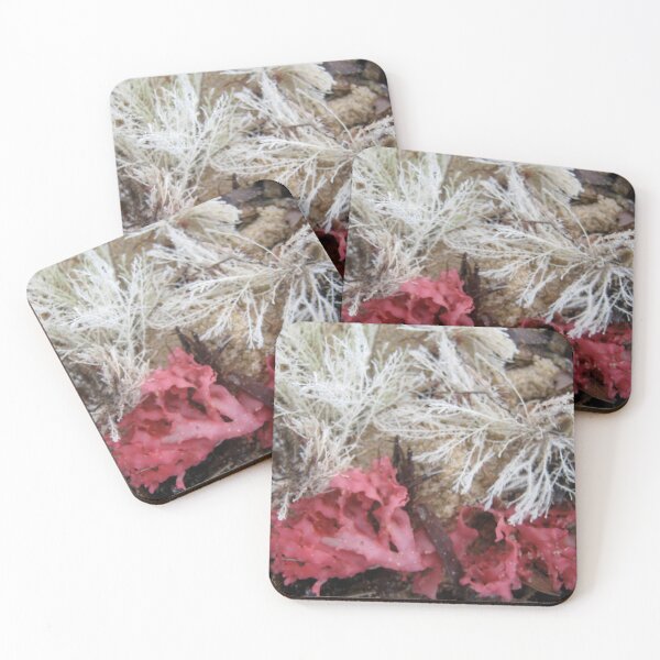 Item preview, Sea Wrack - Prestons Beach, Western Australia, 2010 designed and sold by Elizabeth Sheppard.