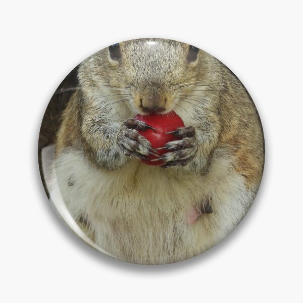 Item preview, Cute Squirrel #0066 designed and sold by Jeffrey Mask.