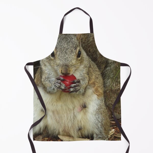 Item preview, Cute Squirrel #0066 designed and sold by Jeffrey Mask.