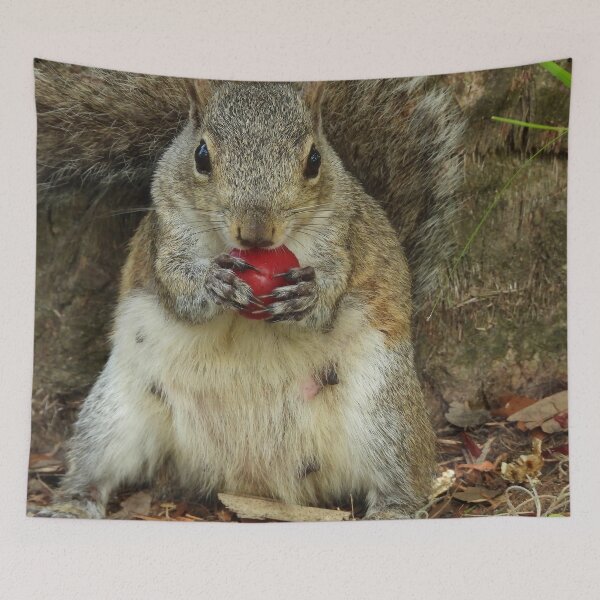 Item preview, Cute Squirrel #0066 designed and sold by Jeffrey Mask.