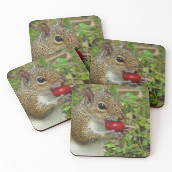 Item preview, Cute Squirrel #0067 designed and sold by Jeffrey Mask.