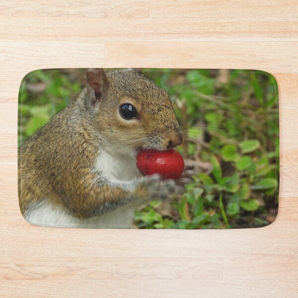 Item preview, Cute Squirrel #0067 designed and sold by Jeffrey Mask.