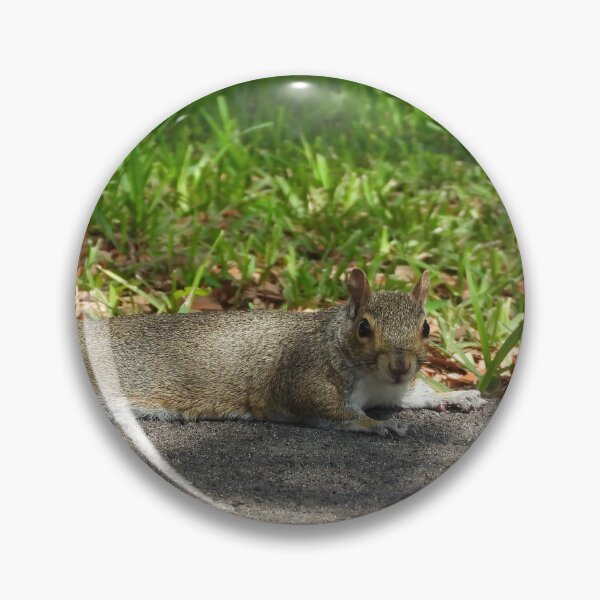 Item preview, Cute Squirrel #0068 designed and sold by Jeffrey Mask.