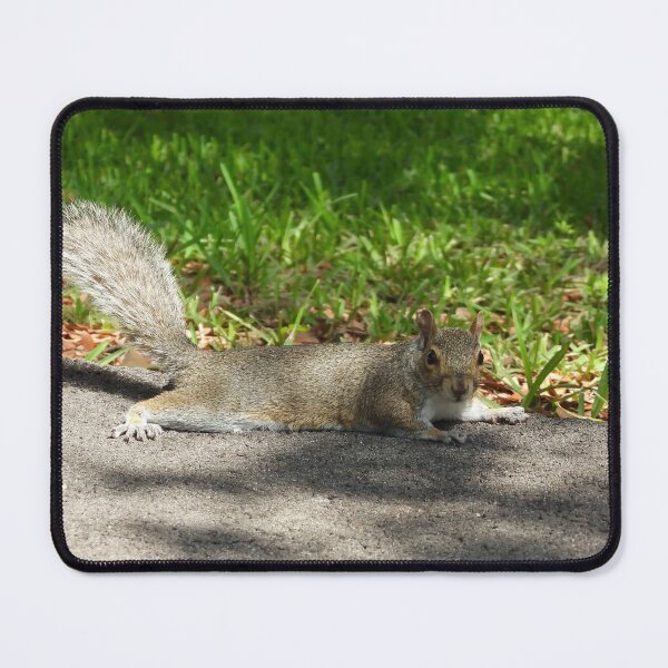 Item preview, Cute Squirrel #0068 designed and sold by Jeffrey Mask.