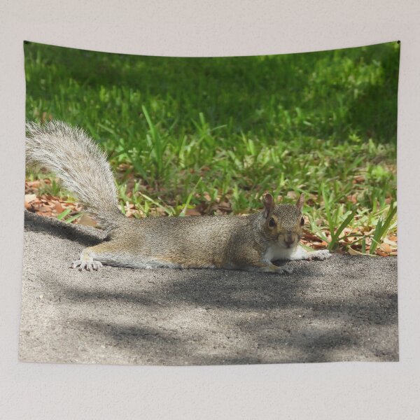Item preview, Cute Squirrel #0068 designed and sold by Jeffrey Mask.