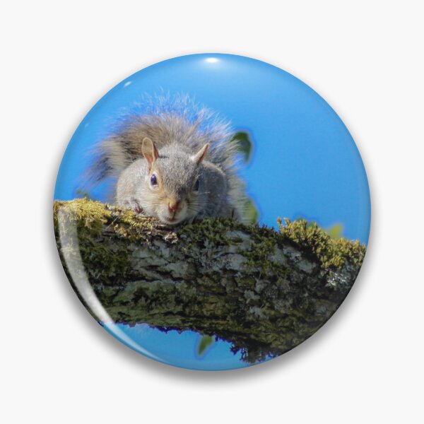 Item preview, Peekaboo squirrel  designed and sold by Sandi Walmsley.
