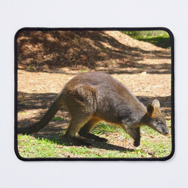 Item preview, Swamp Wallaby  designed and sold by Mickangelhere.