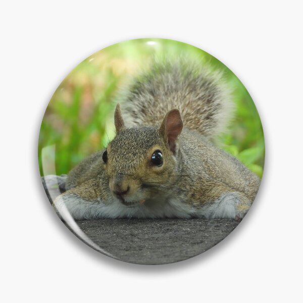 Item preview, Cute Squirrel #0069 designed and sold by Jeffrey Mask.