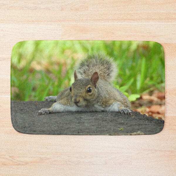 Item preview, Cute Squirrel #0069 designed and sold by Jeffrey Mask.