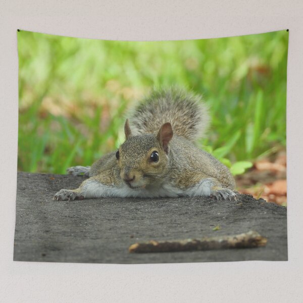 Item preview, Cute Squirrel #0069 designed and sold by Jeffrey Mask.