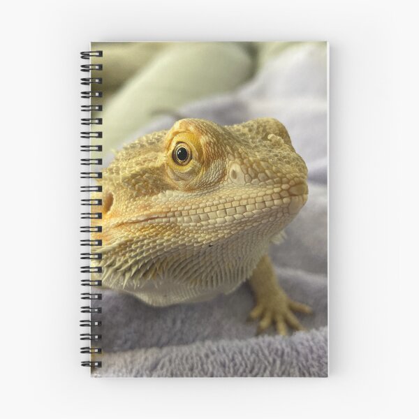 Item preview, Drako the dragon  designed and sold by Sandi Walmsley.