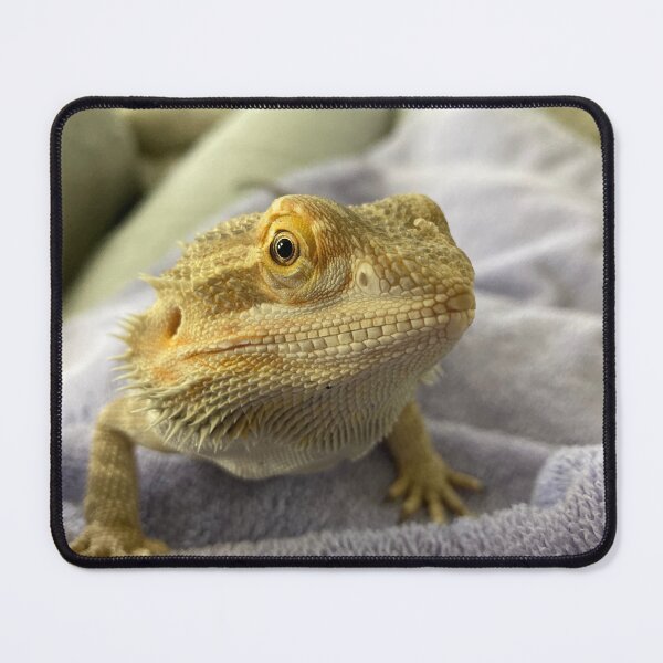 Item preview, Drako the dragon  designed and sold by Sandi Walmsley.