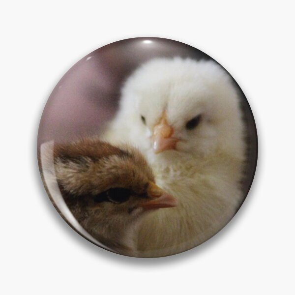 Item preview, Baby chicks designed and sold by Sandi Walmsley.