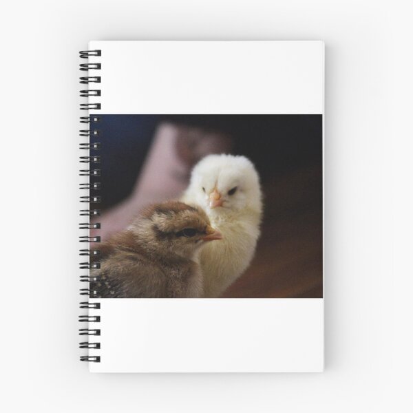 Item preview, Baby chicks designed and sold by Sandi Walmsley.
