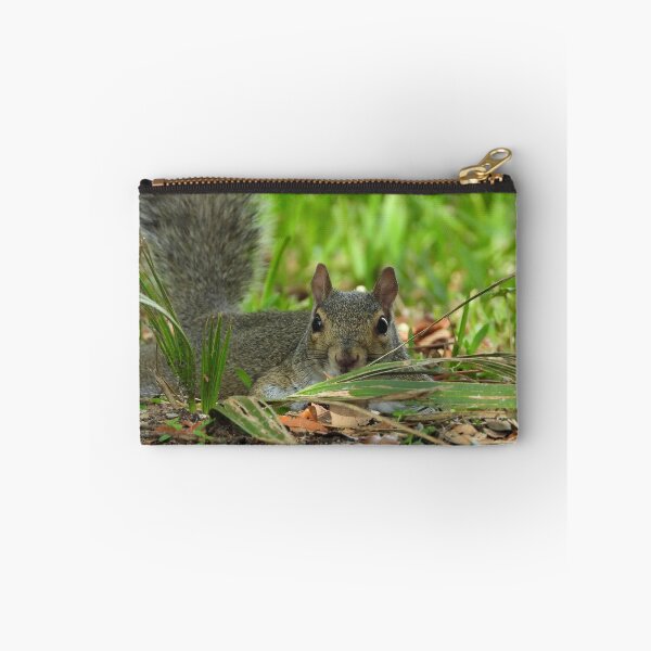 Item preview, Cute Squirrel #0070 designed and sold by Jeffrey Mask.