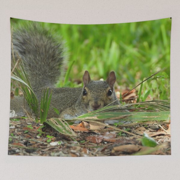 Item preview, Cute Squirrel #0070 designed and sold by Jeffrey Mask.