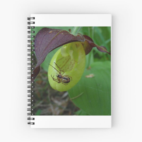 Item preview, Lady's slipper Orchid with spider designed and sold by rachariedel.
