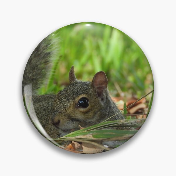 Item preview, Cute Squirrel #0071 designed and sold by Jeffrey Mask.