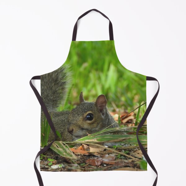 Item preview, Cute Squirrel #0071 designed and sold by Jeffrey Mask.