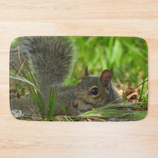Item preview, Cute Squirrel #0071 designed and sold by Jeffrey Mask.