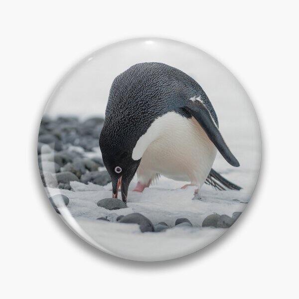 Item preview, Selecting the perfect pebble designed and sold by Mark Prior.