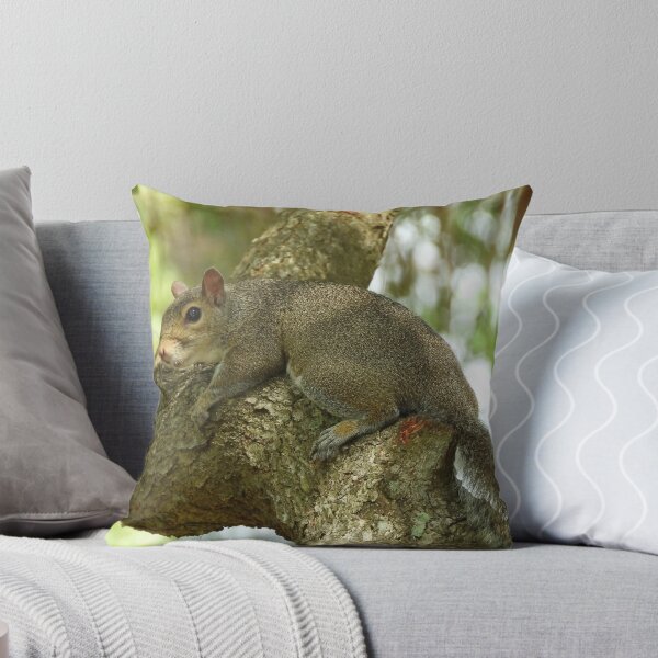 Item preview, Cute Squirrel #0072 designed and sold by Jeffrey Mask.