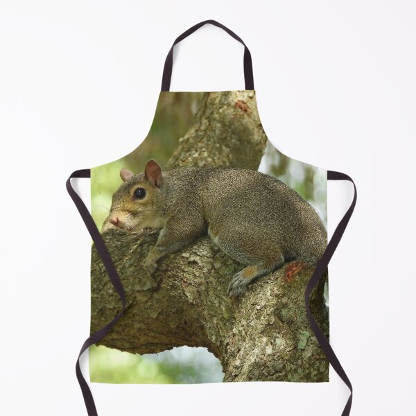Item preview, Cute Squirrel #0072 designed and sold by Jeffrey Mask.